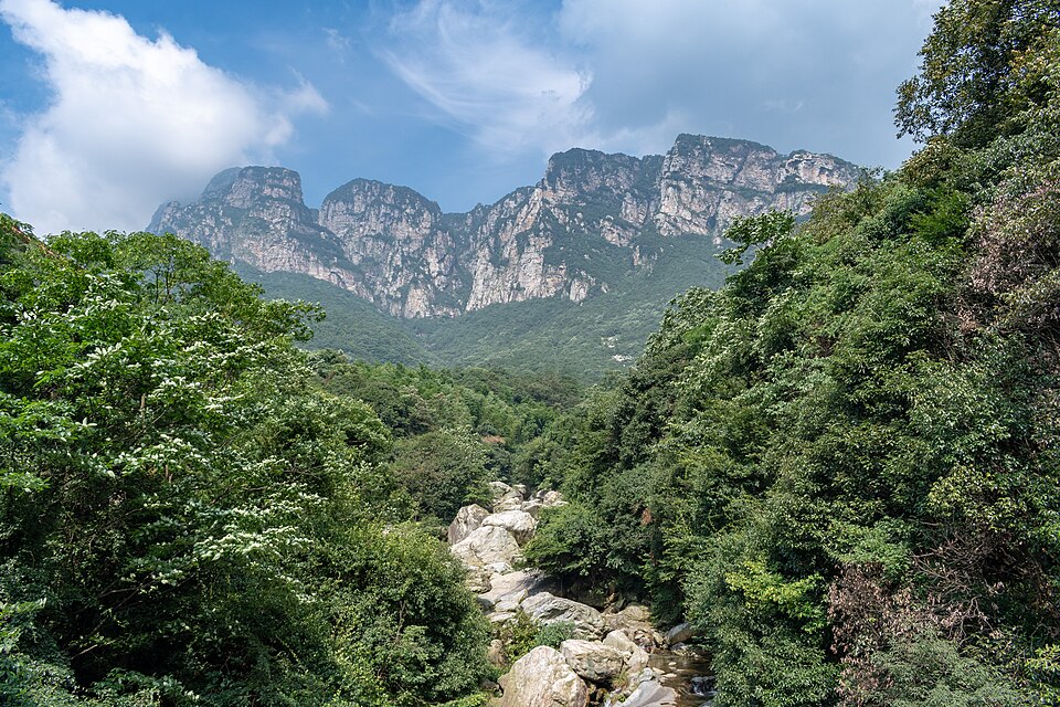 Wuyuan Jiangxi: White-Walled Villages, Autumn Ginkgo & China's Most Beautiful Countryside