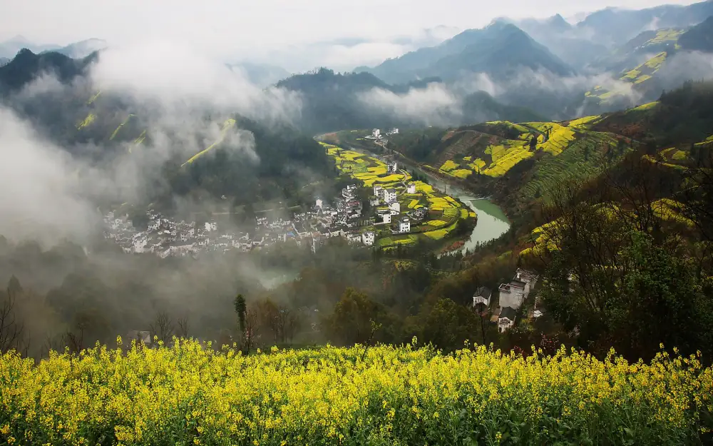 Shitan Rapeseed Blossom, Anhui