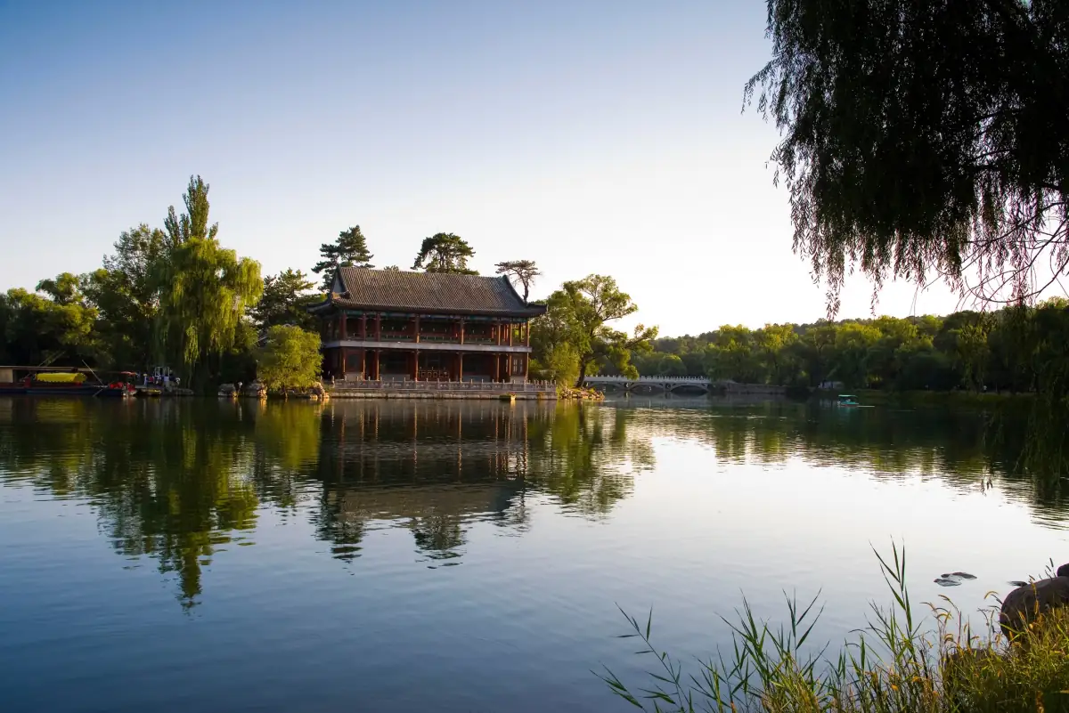 Baiyangdian Wetlands, Hebei: Reed Channels and Lotus Season