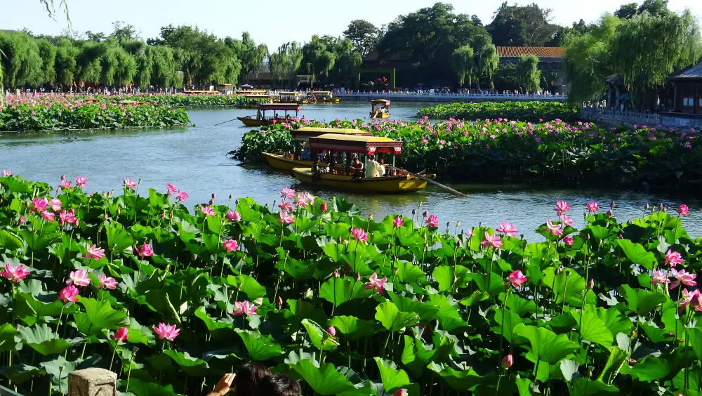 Park Scenery, Beijing, Beihai