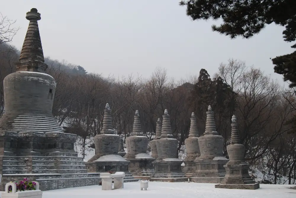 Jietai Temple Scenery, Beijing