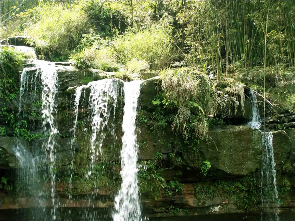 Shunanzhuhai Landscape