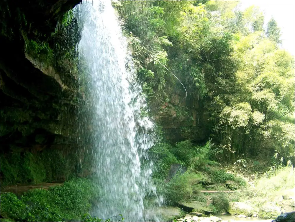 Shunanzhuhai Landscape