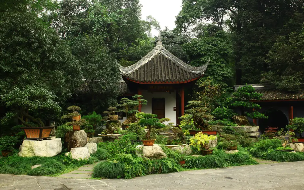 Tianfuguosheyingyi, Sichuan, Chengdu