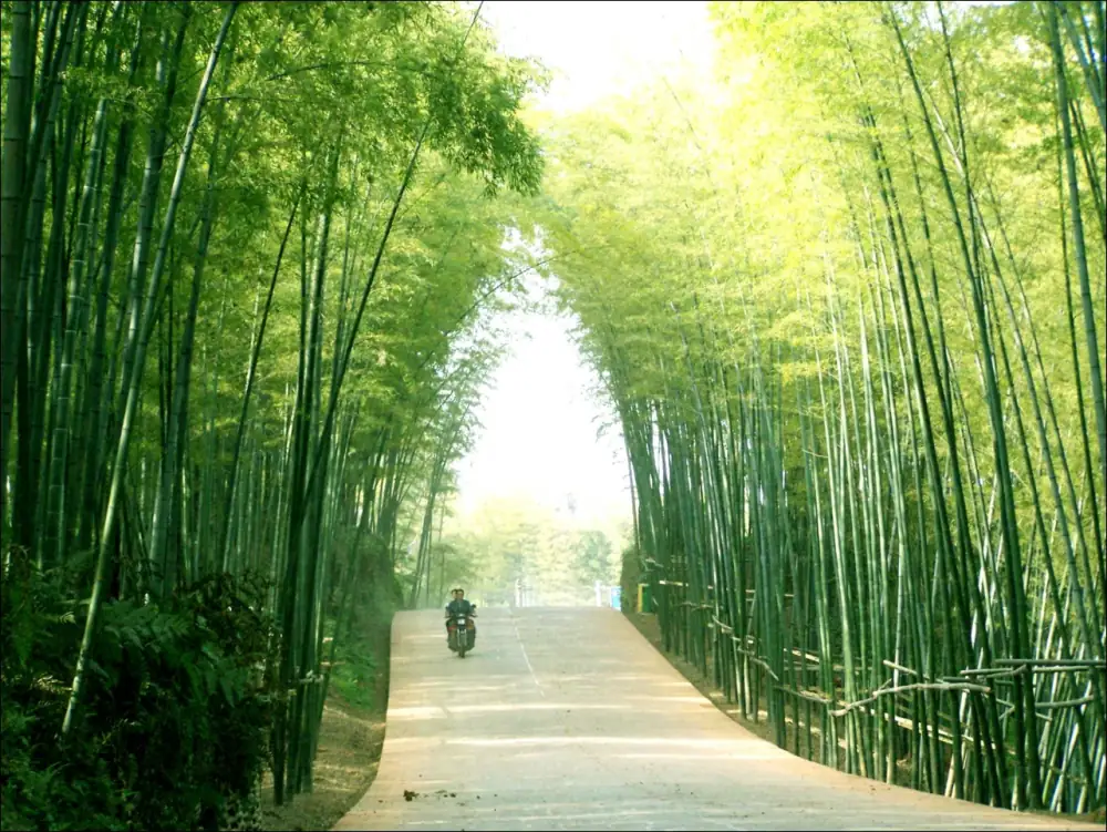 Shunanzhuhai Landscape