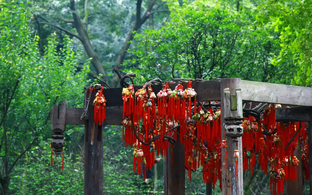 Tianfuguosheyinger, Sichuan, Chengdu