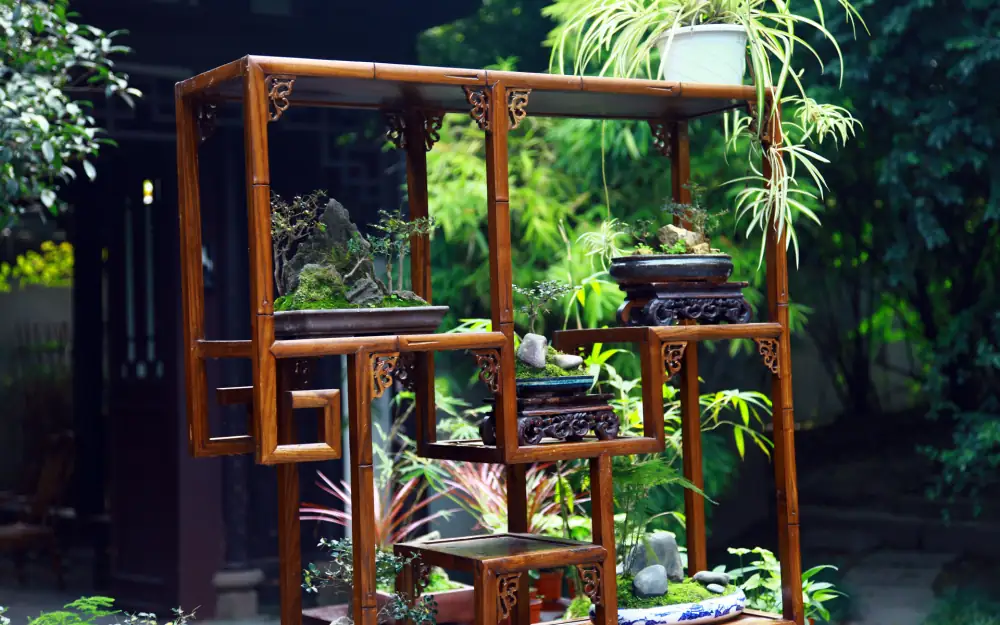 Tianfuguosheyinger, Sichuan, Chengdu