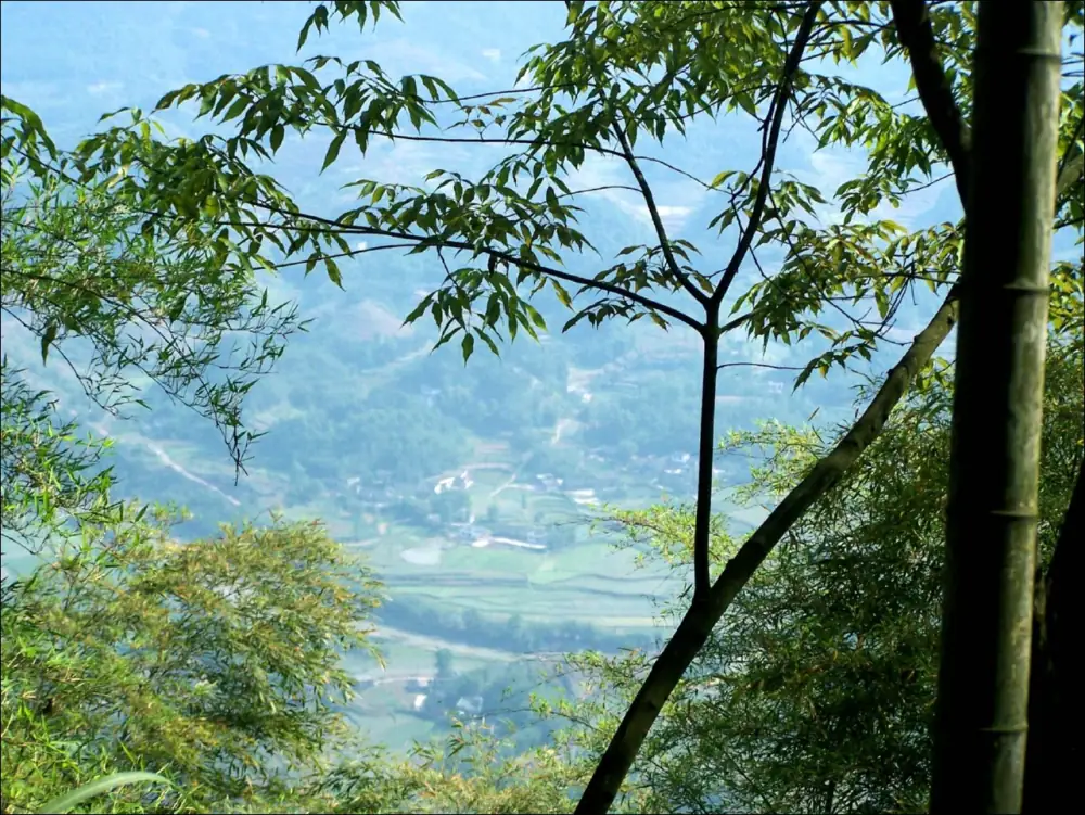 Shunanzhuhai Landscape