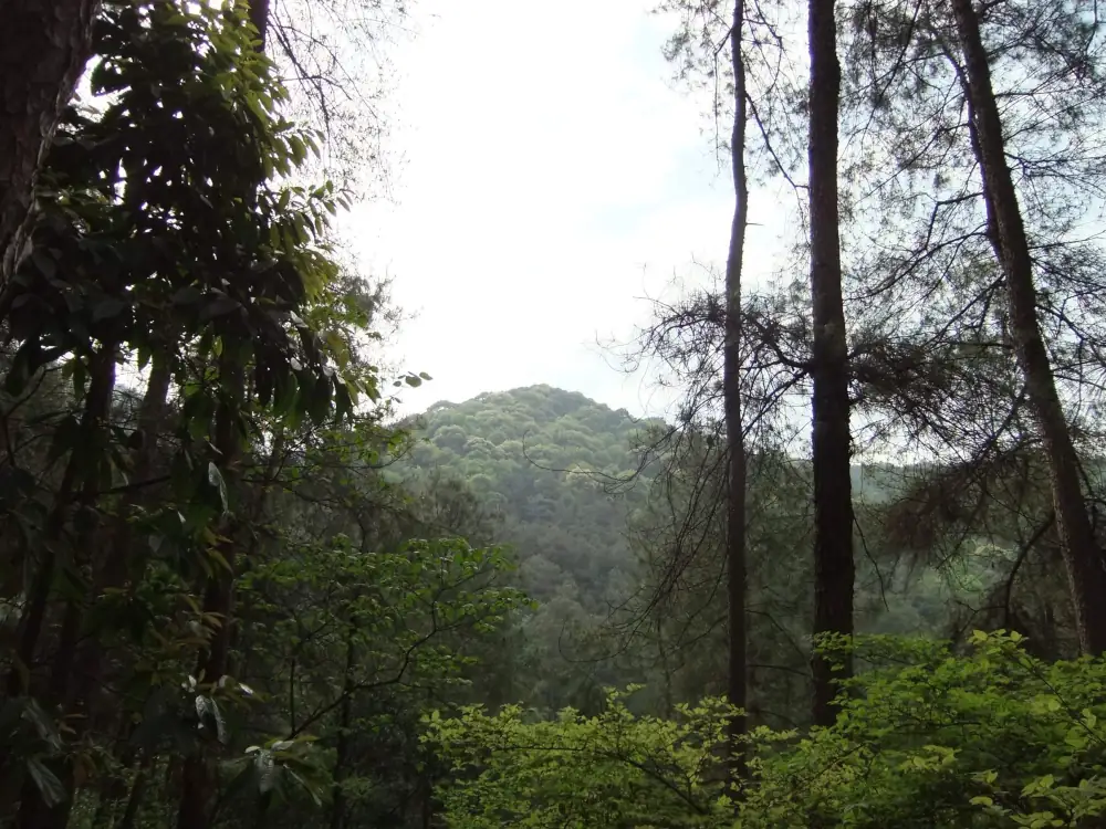 Jinyun Mountain Scenery, Chongqing