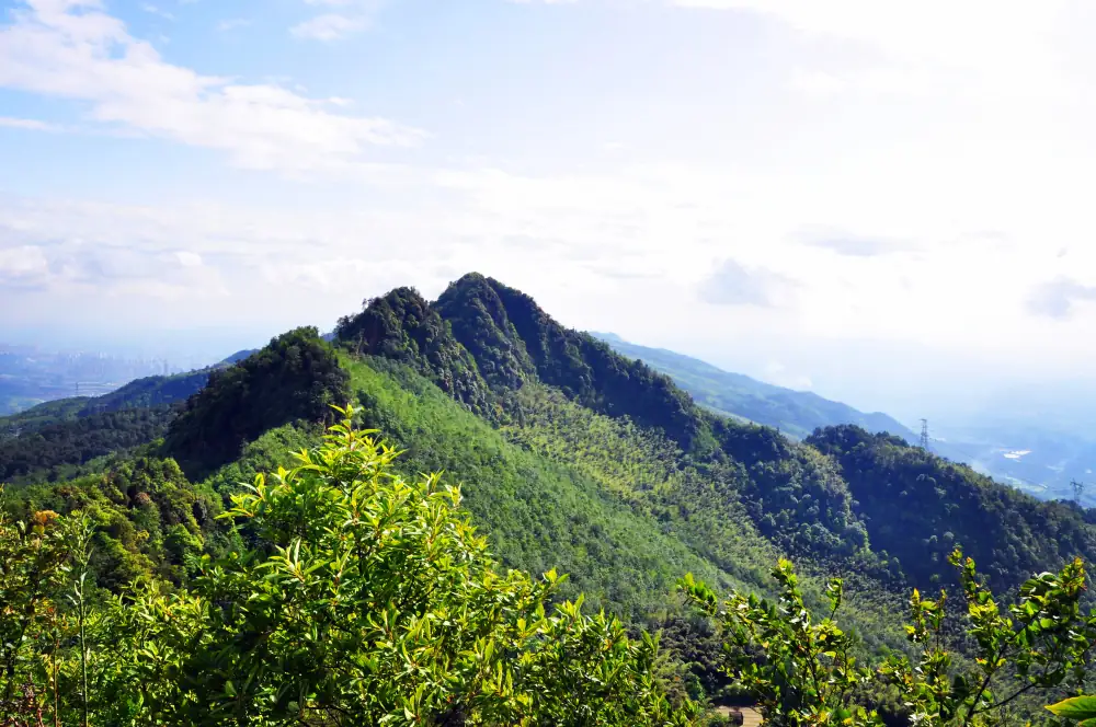 Yongchuancha Mountain Scenery, Chongqing