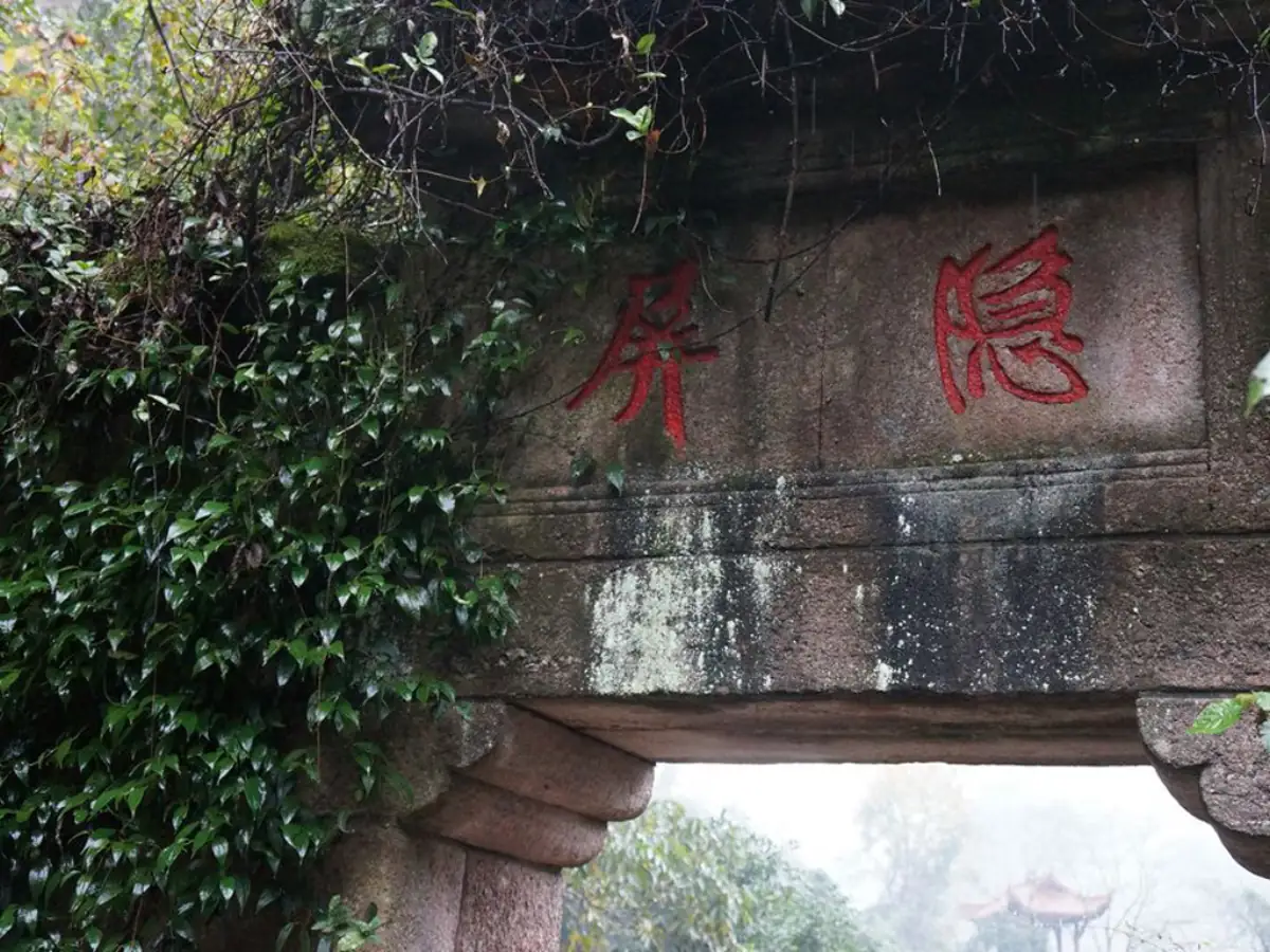 Wuyi Mountain Fujian: Rock Oolong Tea, Nine-Bend River & UNESCO Scenery