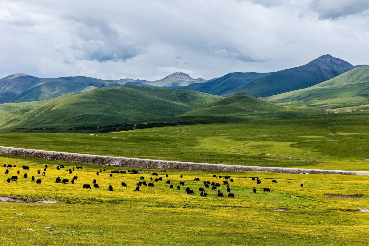 Gannan Guide: Labrang Monastery, Langmusi and Tibetan Gansu