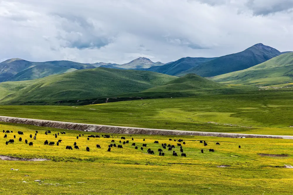 Gannan Grassland Scenery, Gansu