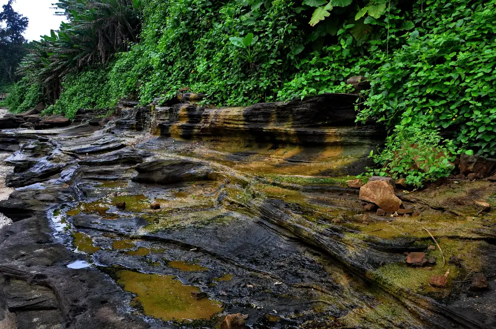 Weizhoudaodi, Guangxi