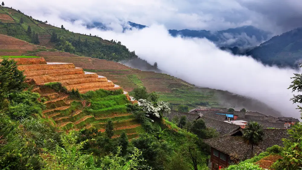 Longji Rice Terraces Pinganzhai