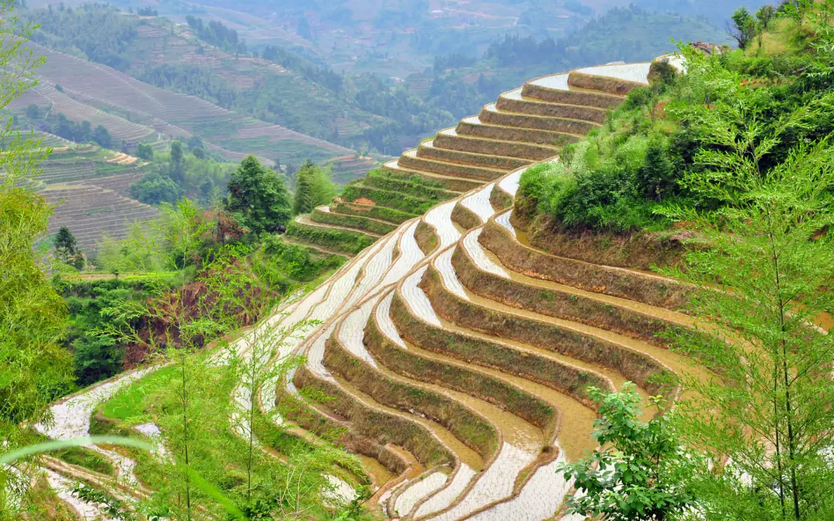 Longji Rice Terraces: Dragon's Backbone Scenic Area in Guangxi