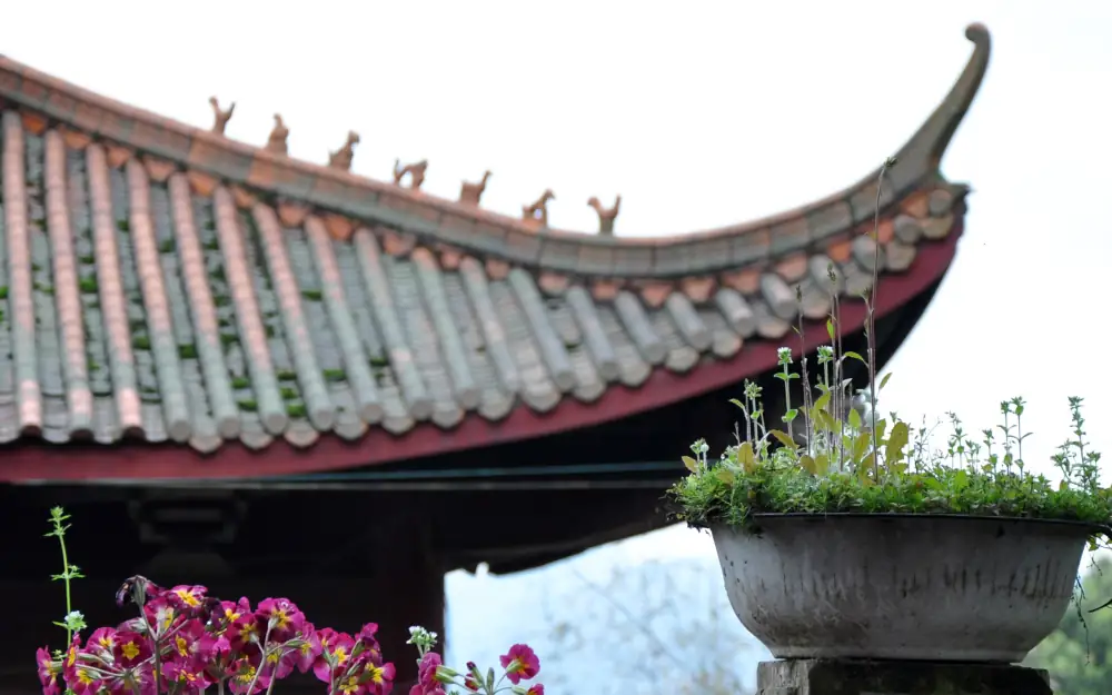 Liu River Scenery