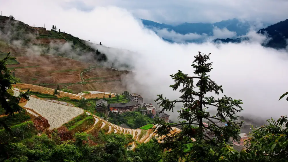 Longji Rice Terraces Pinganzhai