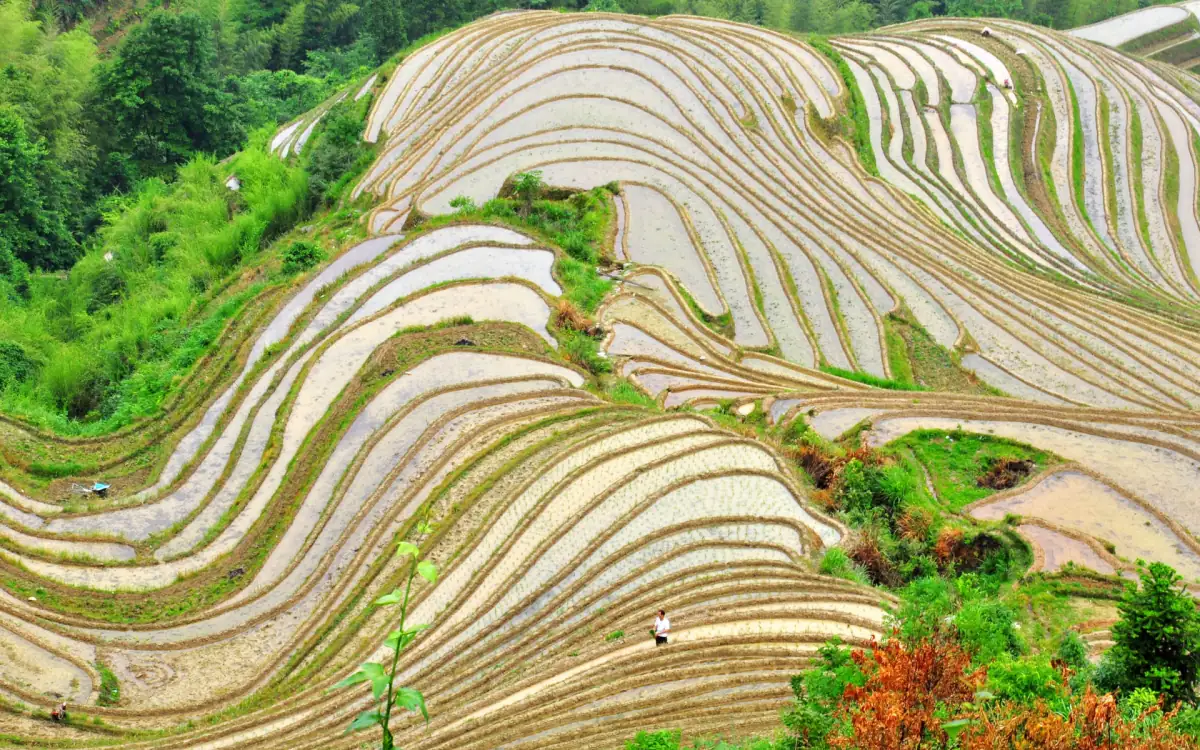3 Days in Guilin & Yangshuo: Li River, Rice Terraces & Karst Cycling