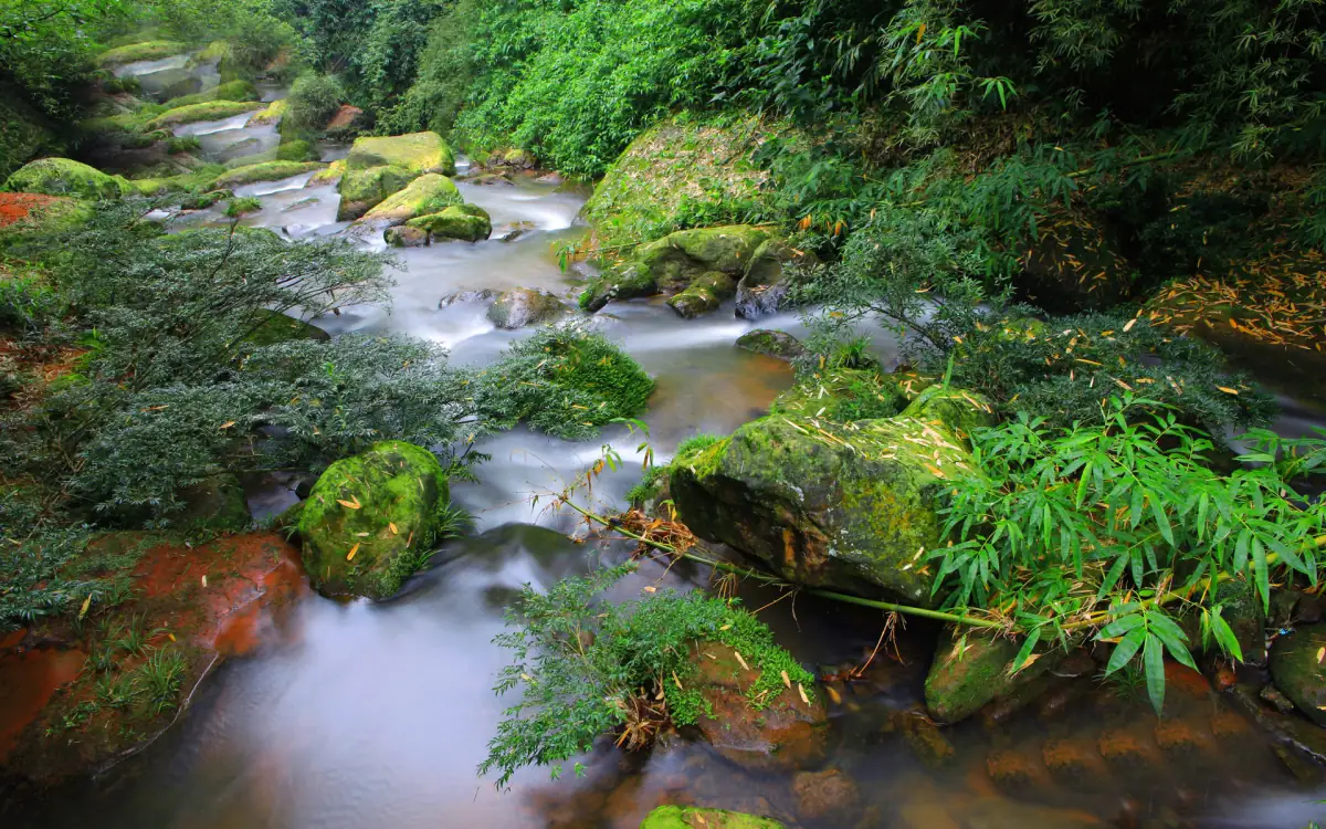 Chishui Guizhou Guide 2026: Danxia Red Rocks, Bamboo Sea & Waterfall Valley