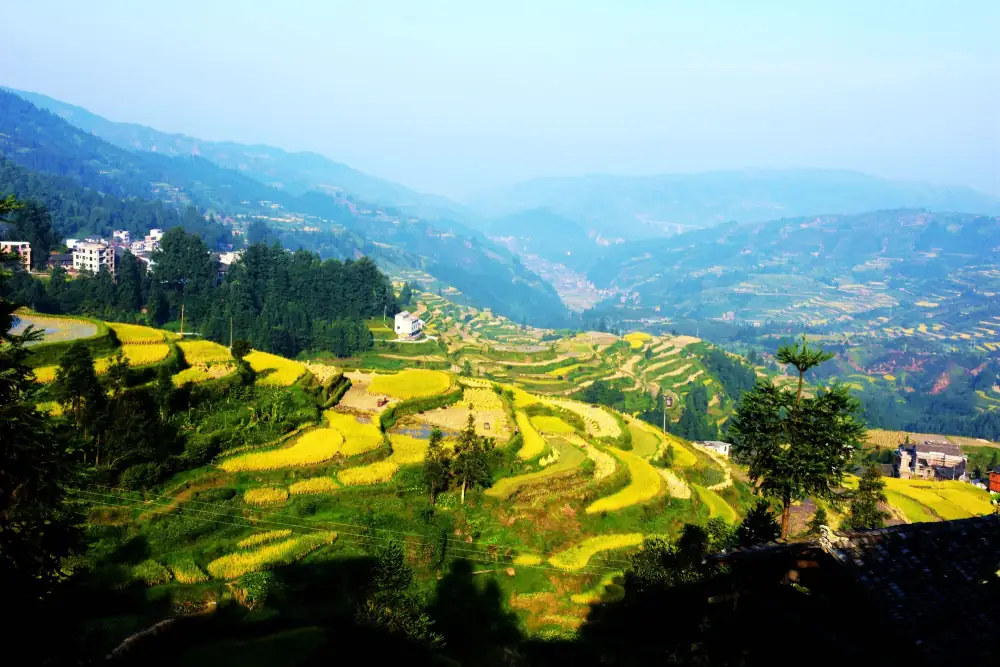 Zhaoxing Dong Village Scenery, Guizhou