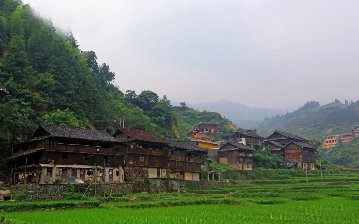 Guizhou Qiandongnan: Miao & Dong Minority Villages, Terraced Rice Fields