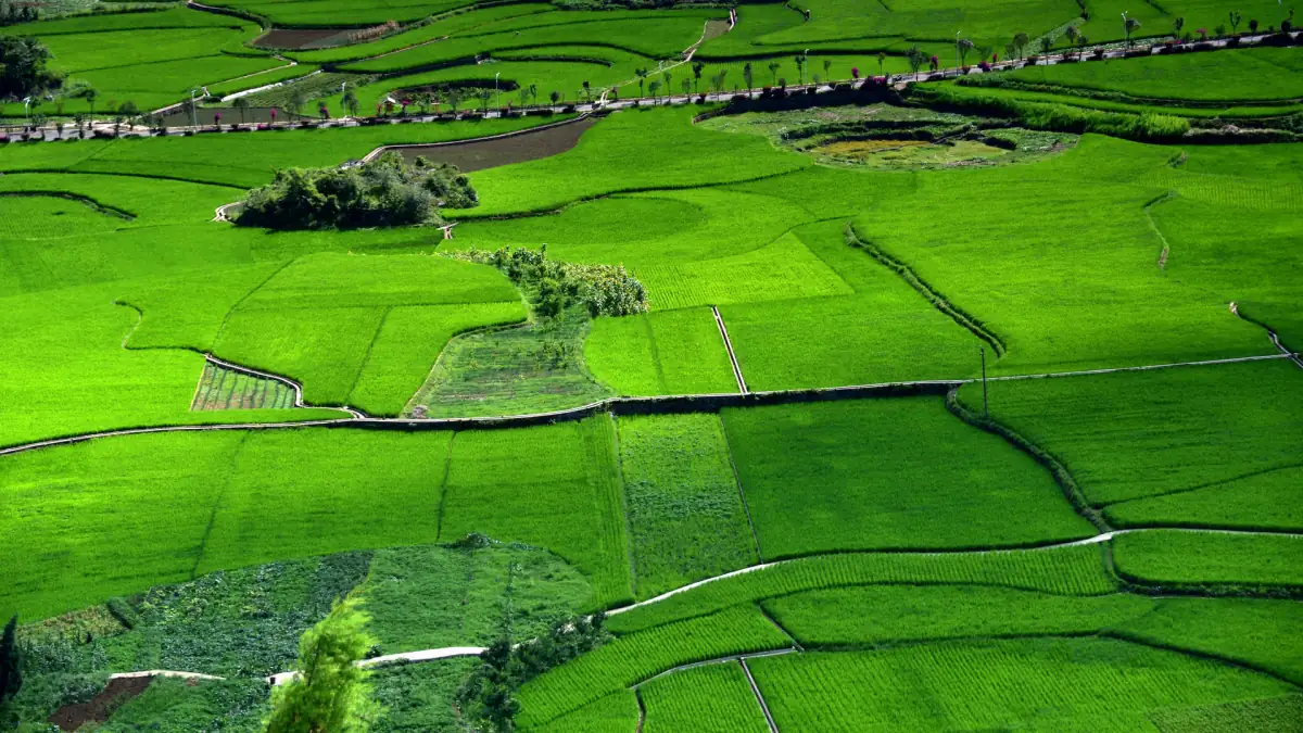 Xingyi Guizhou Guide 2026: Ten-Li Gallery, Karst Canyon & Southwest China's Hidden Gem