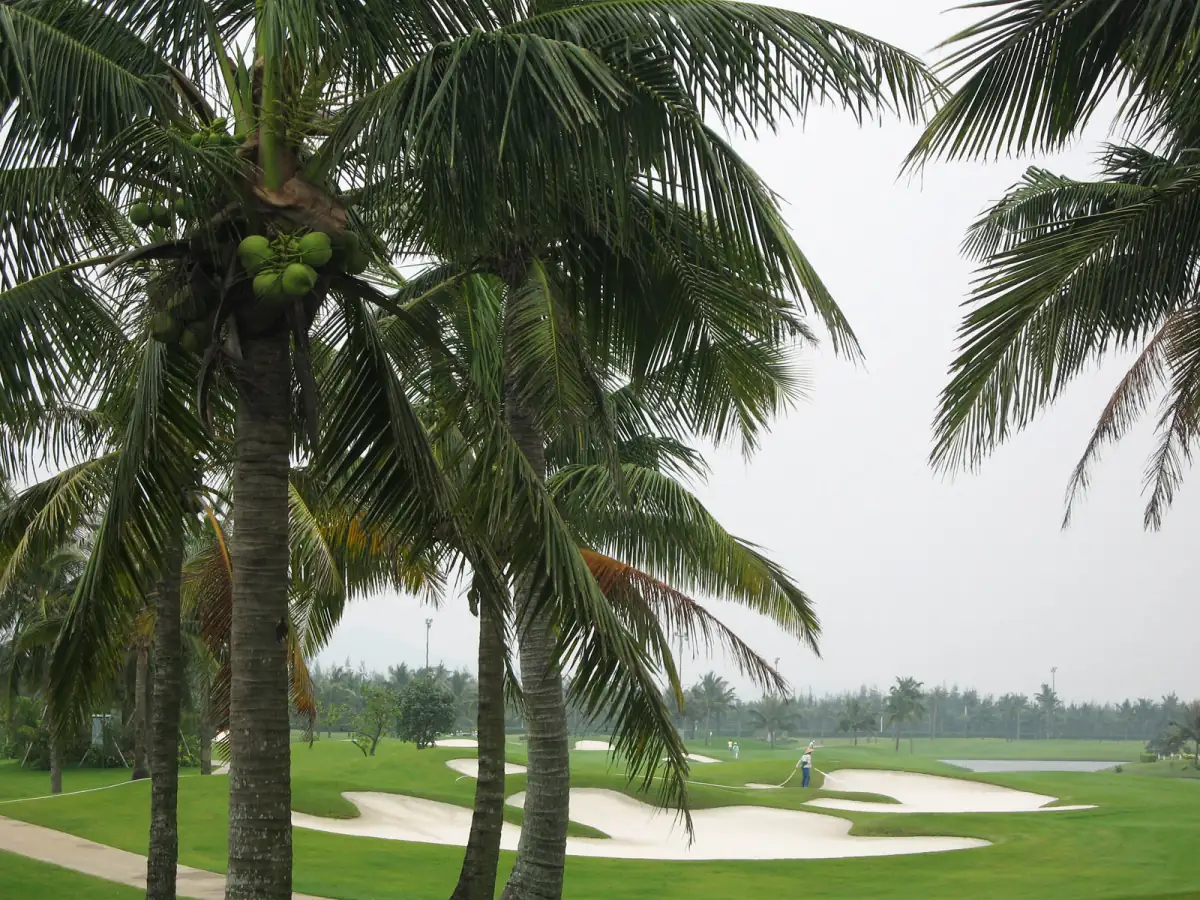 Boao Hainan Resort Area Guide 2026: Asia Forum Town, Beaches & East Coast Escape