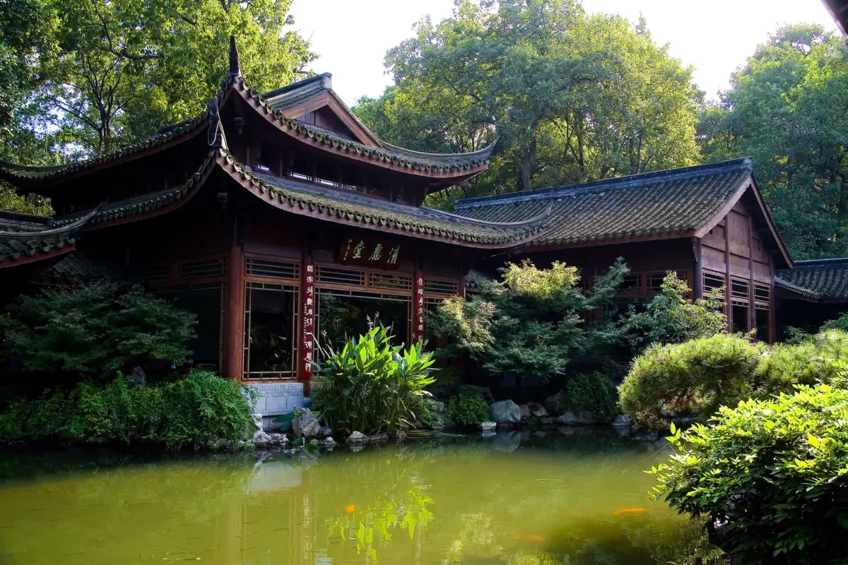 Hangzhou Food Guide 2026: West Lake Vinegar Fish, Dongpo Pork & Longjing Tea Cuisine