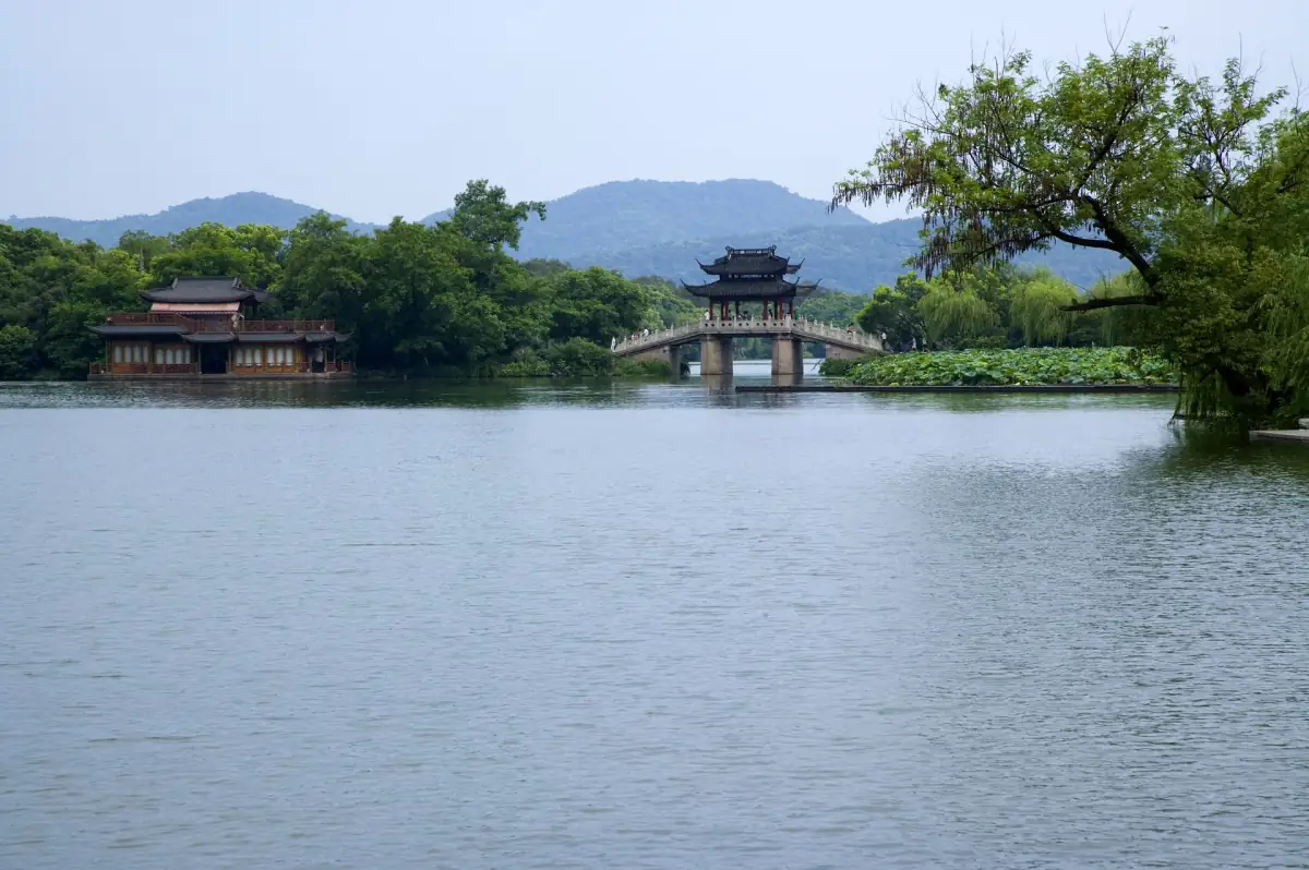 Longjing Tea Village Hangzhou: Picking Tea at the Source & West Lake Cycling