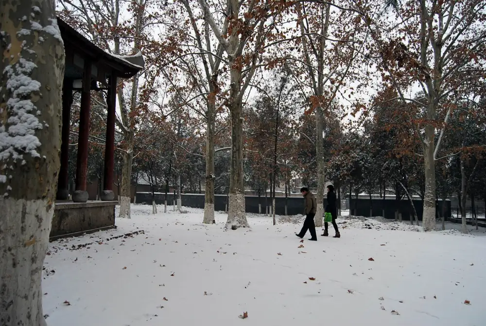 Chongfa Temple Scenery, Henan