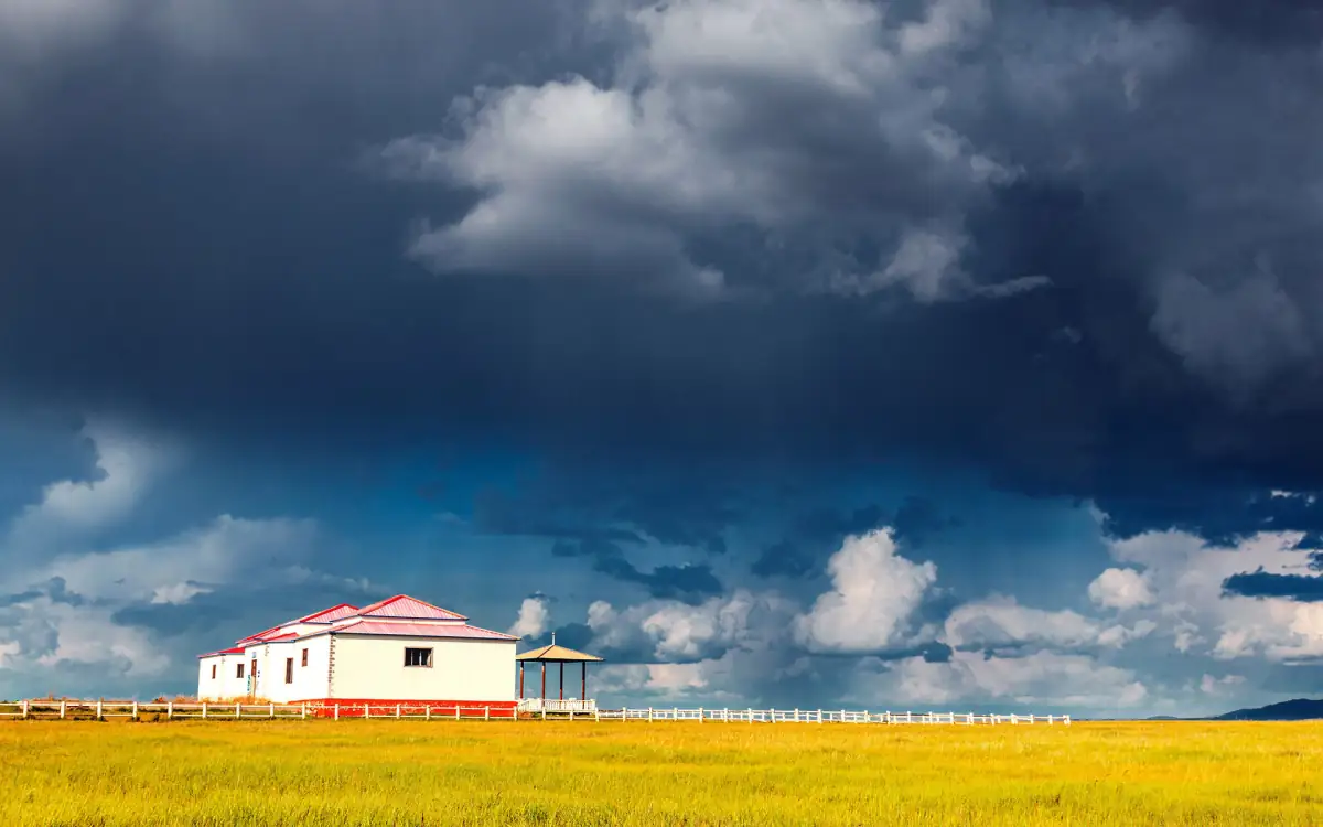 Hohhot & Inner Mongolia Grassland Guide: Horse Riding, Yurts & Mongolian Culture