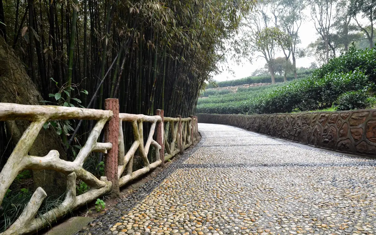 Changsha 3 Days Itinerary Guide 2026: Hunan Museum, Orange Island & Night Street Food