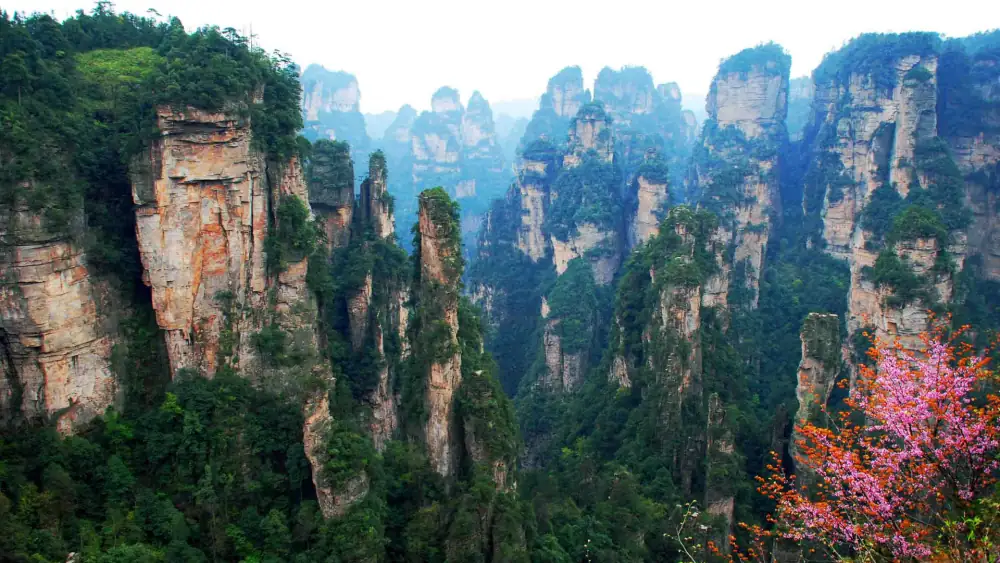 Guojiasenlin Park, Zhangjiajie