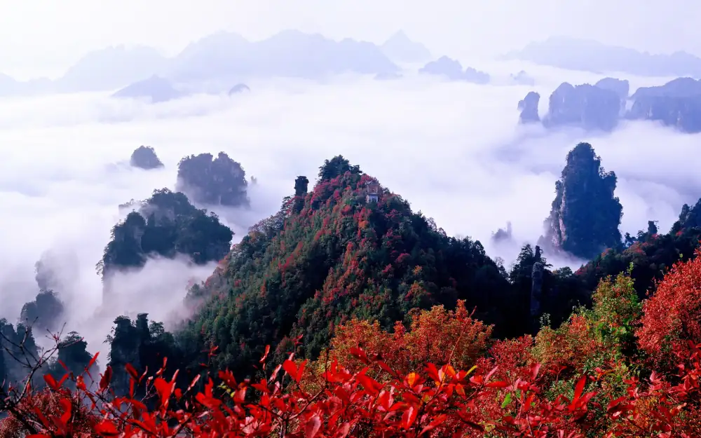 Landscape Scenery, Zhangjiajie