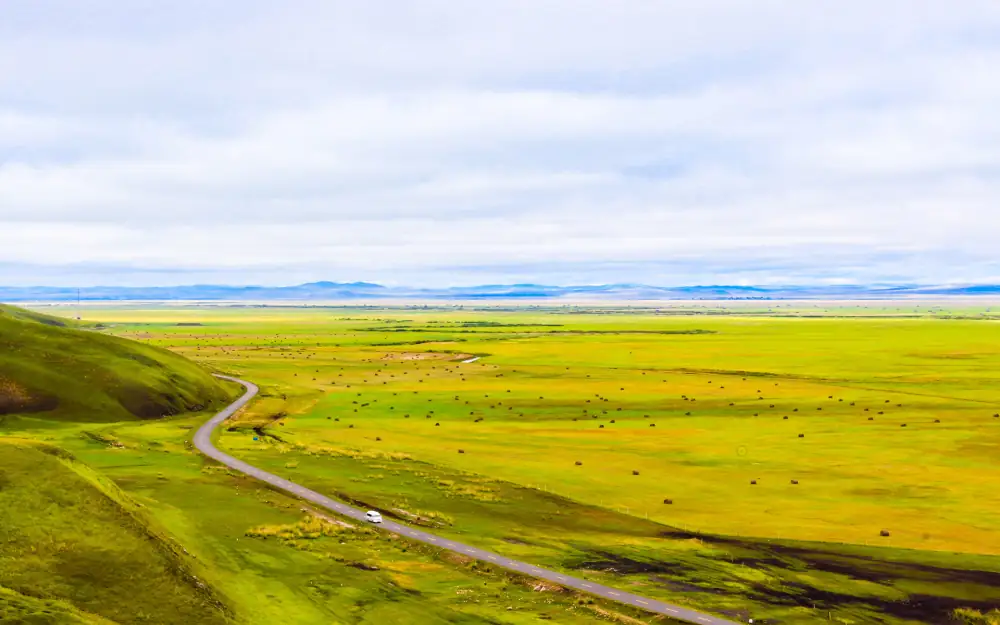 Da Grassland, Hulunbuir, Inner Mongolia