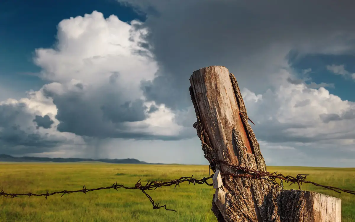 Inner Mongolia Travel Guide 2025: Hohhot, Hulunbuir Grasslands & Desert Landscapes