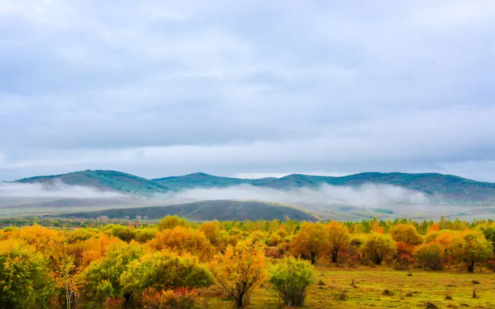 Da Grassland, Hulunbuir, Inner Mongolia