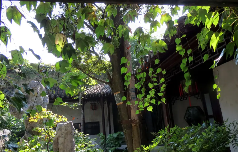 Gudianmingyuanliu Garden Scenery, Suzhou