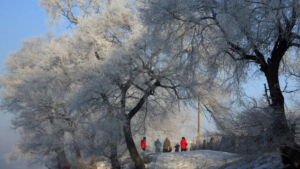 Jilin Rime Ice & Dalian Coastal City: Northeast China Winter and Sea Guide