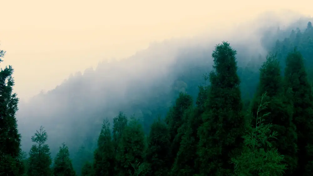 Jinggangshan Scenery, Jiangxi