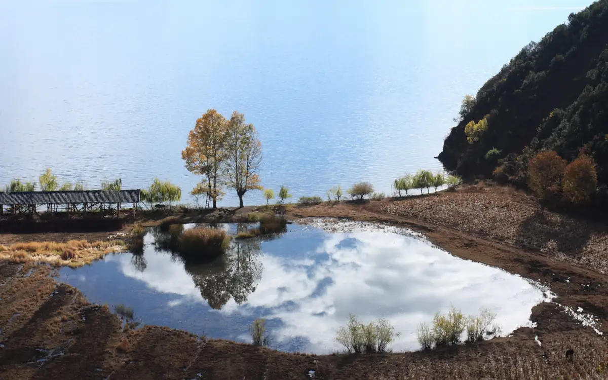 Jiuzhaigou Five Flower Lake & Nuorilang Falls: A Focused Guide to the Best Sights