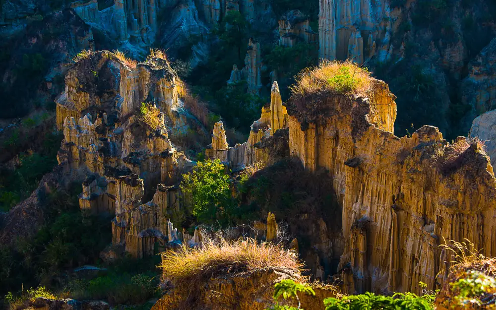 Wumao Earth Forest Scenery, Kunming