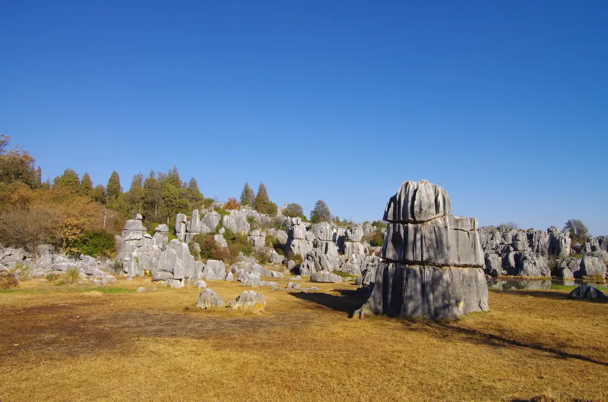 Kunming Stone Forest (Shilin) Complete Guide: Tickets, Routes & Sani Minority Culture