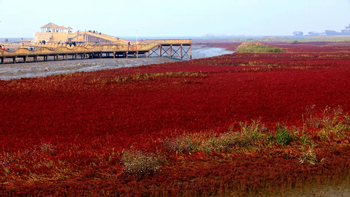 Dalian Liaoning Complete Guide 2026: Russian Squares, Beach Resorts & Seafood Culture