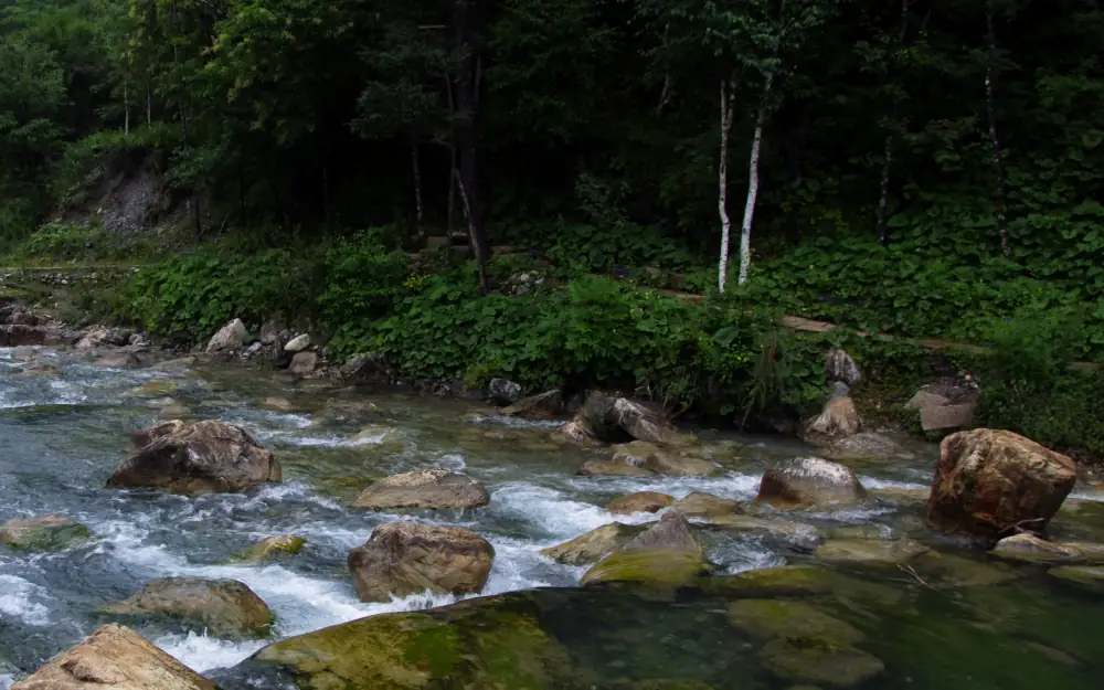 Jade Dragon Snow Mountain Lanyuegu Scenery, Yunnan