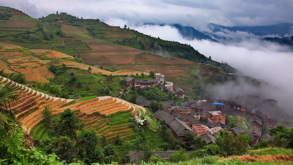 Longji Rice Terraces Pinganzhai