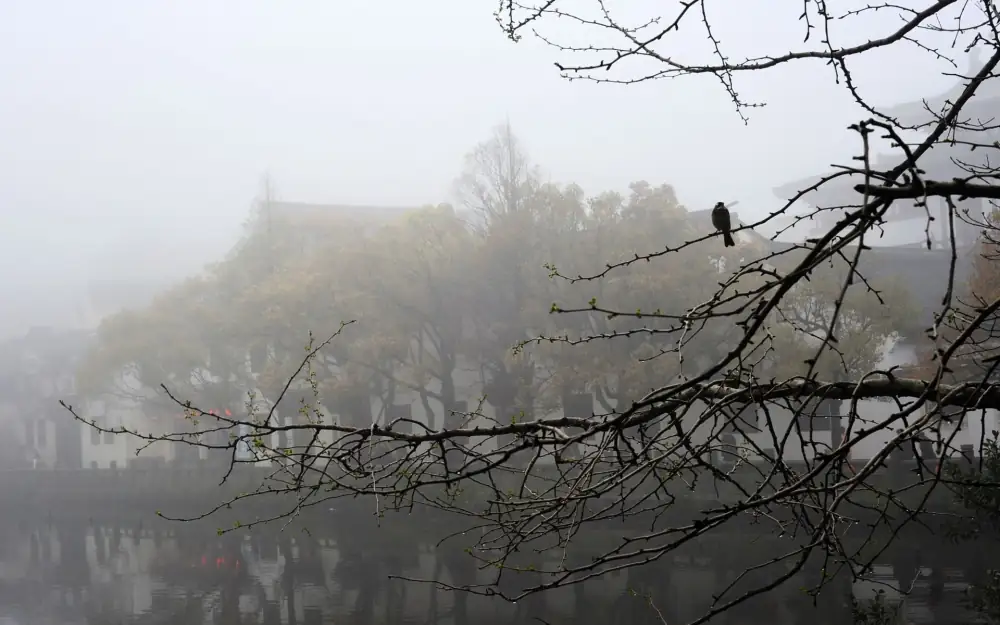 Putuoshan Scenery