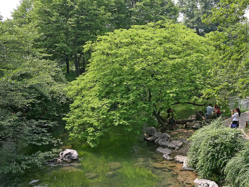 Taiziwan Park Landscape, Hangzhou
