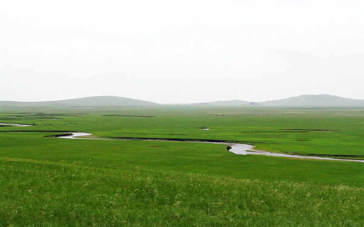 Erlianhaote Inner Mongolia Guide 2026: Dinosaur Fossils, Grasslands & China-Mongolia Gateway